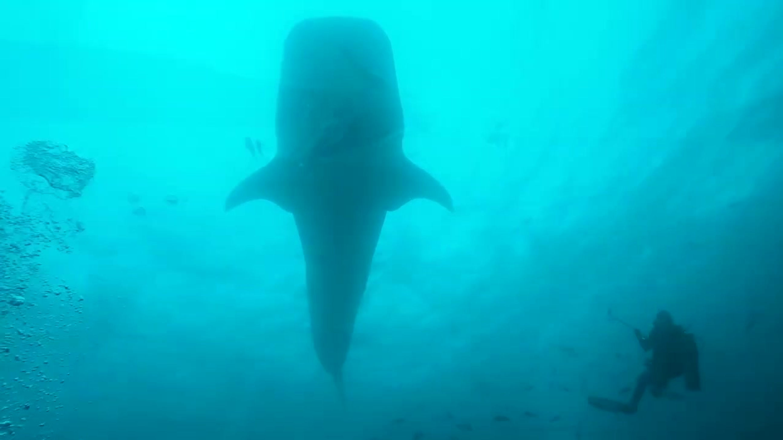 Ecuador Narrated